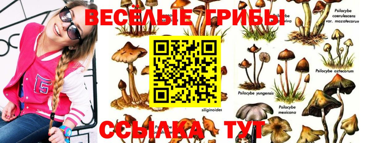 Галлюциногенные грибы мухоморы  Вход с VPN  Псилоцибиновые грибы Magic Shrooms  Вольск 